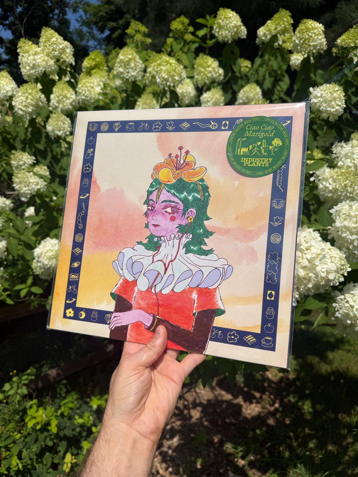 12" Vinyl LP: INDUSTRY PLANTS (US ONLY)