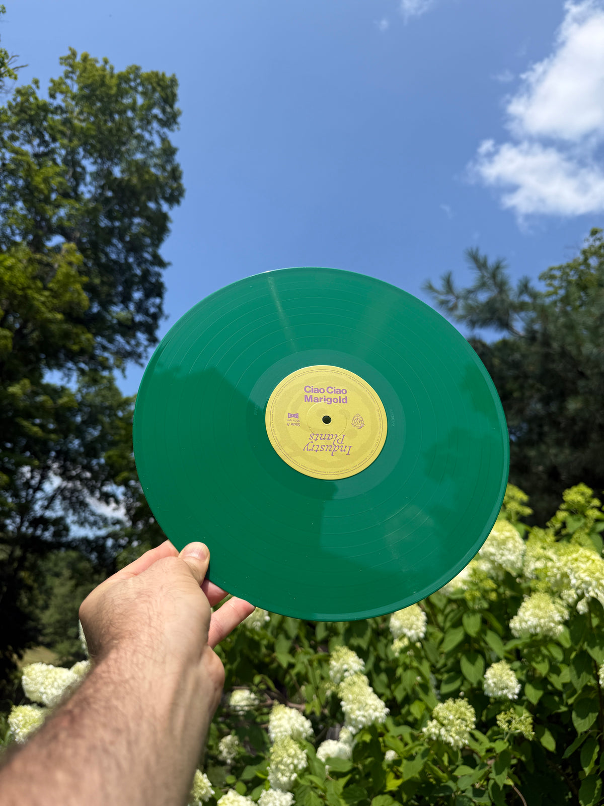 12" Vinyl LP: INDUSTRY PLANTS (US ONLY)
